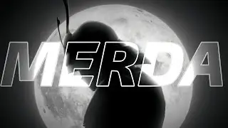 ARIIS AND SAYFALSE - MERDA [ AUDIO EDIT ]