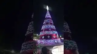 Encendido De arbolito navide&ntilde;o progreso de Obreg&oacute;n hidalgo 🎄🎄💕🎄💕🎁🎄 Feliz  🎄 #navidad