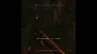 Scottfield Model 3 Precision & Romero 77 Hatchet | Hunt:Showdown No.860 #huntshowdown #hunt #gaming