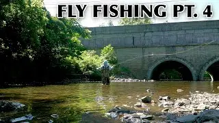 CRAZY TOPWATER Fly Fishing (POPPER gets SMACKED!)