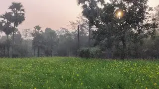 My first blog to the world