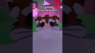 CLAIMING THE NEW PET 