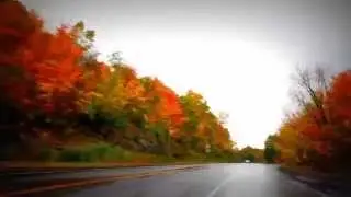Fall Colors in Montreal