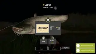 Monster Catfish 191kg Akhtuba River - Russian Fishing 4 RF4