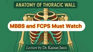 Thorax Anatomy Introduction | MBBS & FCPS Simplified by Dr. Kainat Jatoi
