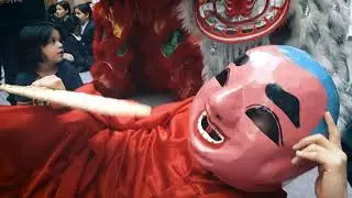 Wai Mo Lion Dance* promo