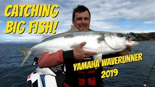 BIG fish on a 2019 Yamaha FX HO Waverunner! and SQUID jet ski fishing!