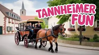 Tannheimer Tal,  Austria.  One Day Visit. #Tour #Austria #alpsadventure