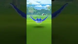 7th Shiny in Mantine spotlight hour