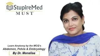 Glimpse of StupireMed 