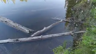 Hiking to Cly Lakes, outside of McCall, Idaho.