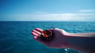 Magiche escursioni nel mare di Puglia
