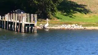 At Nelson, Victoria, Australia.