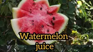 തണ്ണിമത്തൻ ജ്യൂസ്&zwnj; #shorts# shorts video mind refreshing juice  refreshing watermelon juice