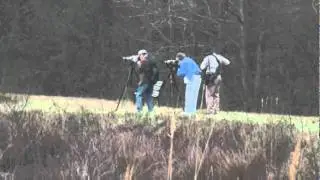 Bird Watching at Silver Bluff