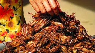 Chinese Insect Street Food