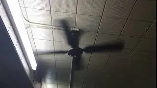 Moss Tropical Breeze ceiling fan