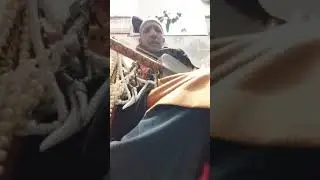 Lila Gnawa Tanger Maalem Abdlwahid Stitou Ftouh Rbhba & Hammadi 2020