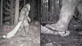 I Found Out What Bigfoot Does With Human Bodies - Terrifying Sasquatch Discovery