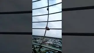 Long way up