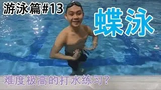 蝶泳腿基础游泳教学