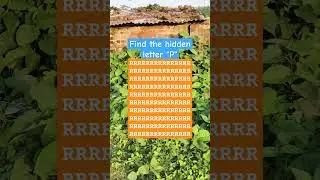 Find the hidden letter 