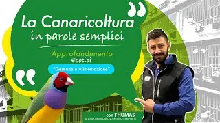 6 - La canaricoltura in parole semplici - ESOTICI