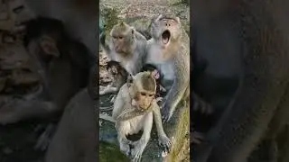 VID20221201171844