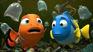 Tropical Ocean | Dolphins & Sea Creatures Animation | Dolphin Tale