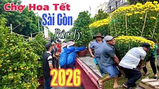 Rạo Rực Chợ Hoa Tết Sài Gòn 2026 | Độc Lạ Mai Vàng Bạc Tỷ Giá Tắc Siêu Rẻ 