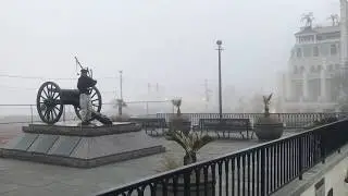 Nola 300