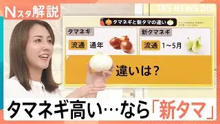 タマネギは高いけど…新タマネギはお買い得！「タマネギ」と「新タマ」の違いは？【Nスタ解説】｜TBS NEWS DIG