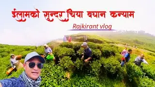 One of the peaceful place ilam kanyam ll ईलामको चिया बघान कन्याम ll ilam tea garden 