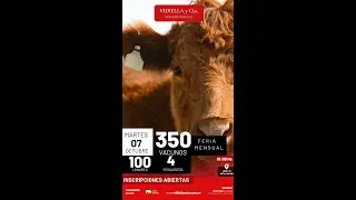 07/09/2025   Feria mensual - Vidiella y Cia /  Local 33 en la calera - Treinta y Tres