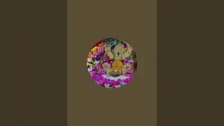 kosish karte rho ek na ek din kamyab honge