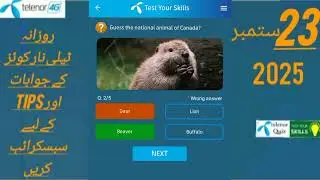 23 September telenor quiz | Today's telenor question answer |Test your skills