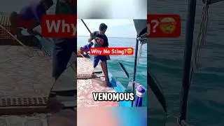 How He Stands on a &ldquo;Deadly&rdquo; Jellyfish and Survives