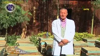 امراض تربية النحل 2 مرض النوزيما الاسباب والاعراض وطرق العلاج