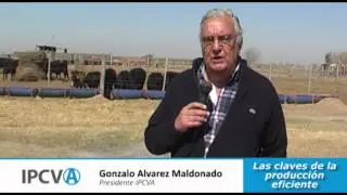 Las Claves de la produccion eficiente