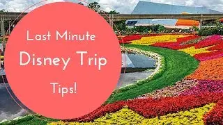 How to Plan a Last Minute Trip To Disney World