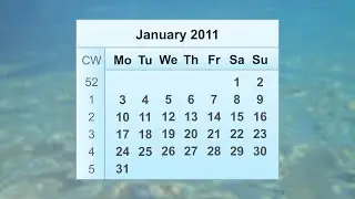 January 2011 Calendar