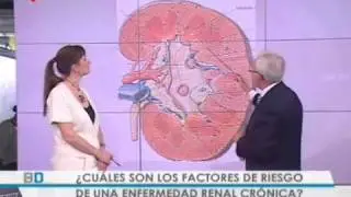 Salud al d&iacute;a: D&iacute;a mundial del ri&ntilde;&oacute;n