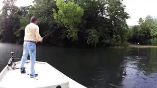 July 9th Jig Fishing Report, Lake Taneycomo