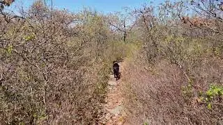 The beautiful South Taconic trail to Brace Mountain