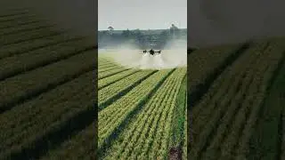 How Drones Are Revolutionizing Farming in China 🚁🌾 | China Tech Hub