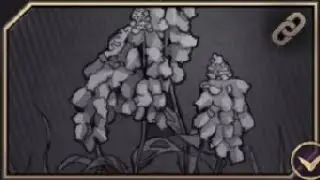 Appendix Panacea Quest - Throne And Liberty (GLOBAL)