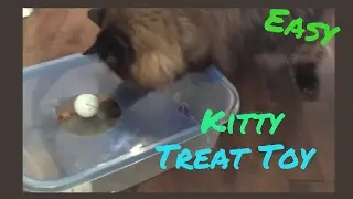 DIY Cat Treat Puzzle
