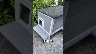Find a real home for outdoor cats
