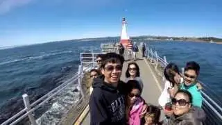 Goldstream Camping 2015