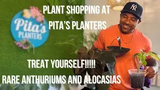 Plant Shopping At Pita&rsquo;s Planters!!! Amazing Selection of Houseplants!